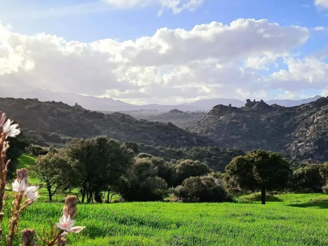 Casa Verdi Telti Εξωτερικό φωτογραφία